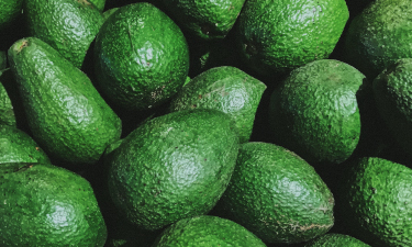 A close up of green avocados.