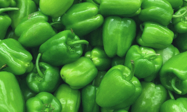 A close shot of many fresh, bright green capsicums 